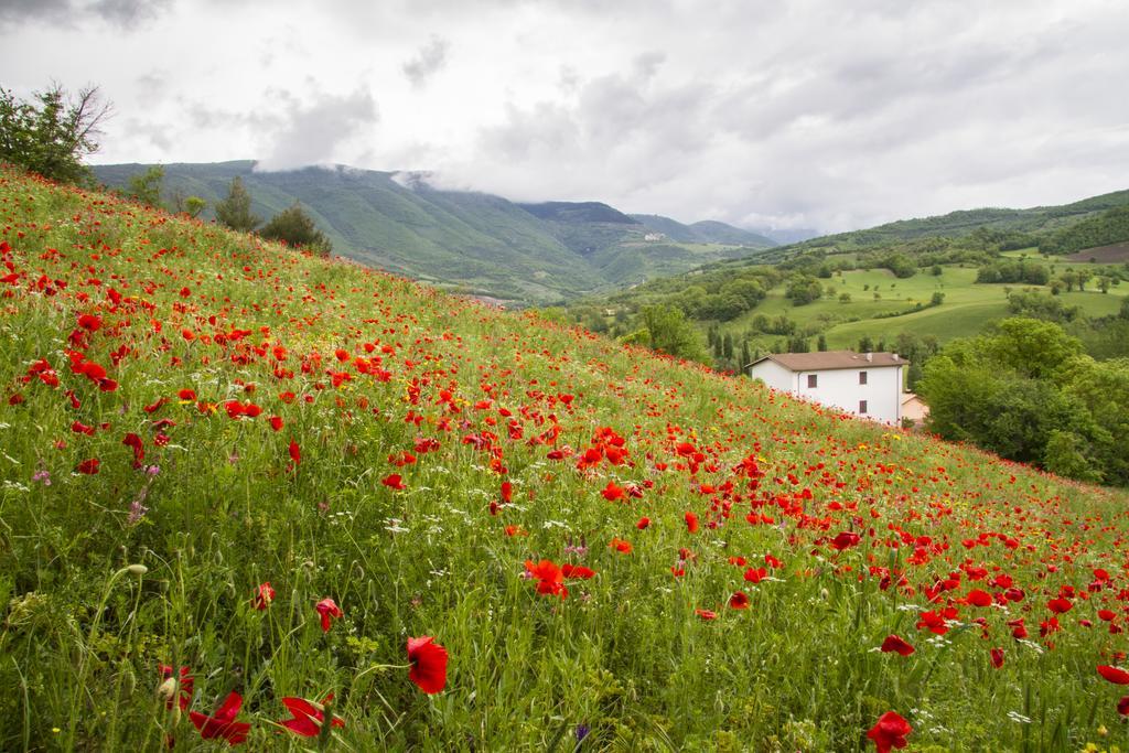 Вілла Casale Coccinella Preci Екстер'єр фото